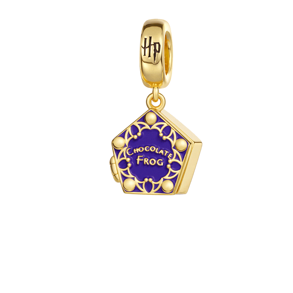 Gnoce Harry Potter Chocolate Frog Pendant Dangle Charm_1