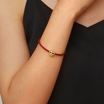 Charm de Apellido Li