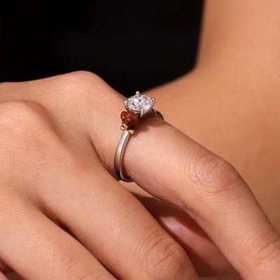 Anillo Perro Dachshund