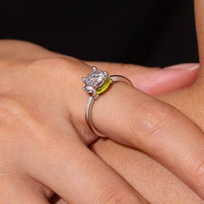 Anillo Tortuga