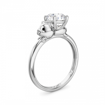 Anillo Hámster