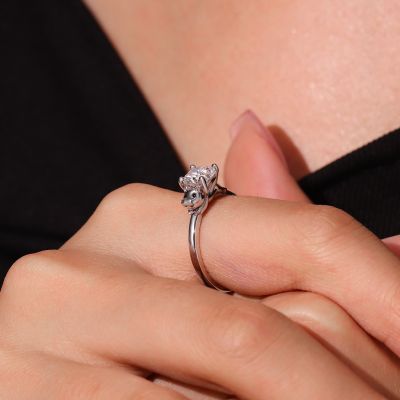 Anillo Hipopótamo