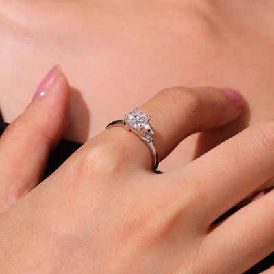 Anillo Perro Salchicha