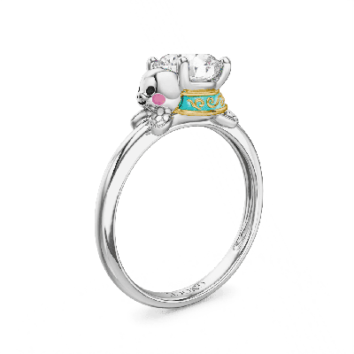Anillo Tortugas Marinas