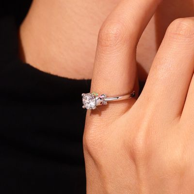 Anillo Tortugas Marinas