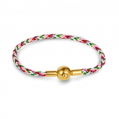 Pulsera Básica Multicolor