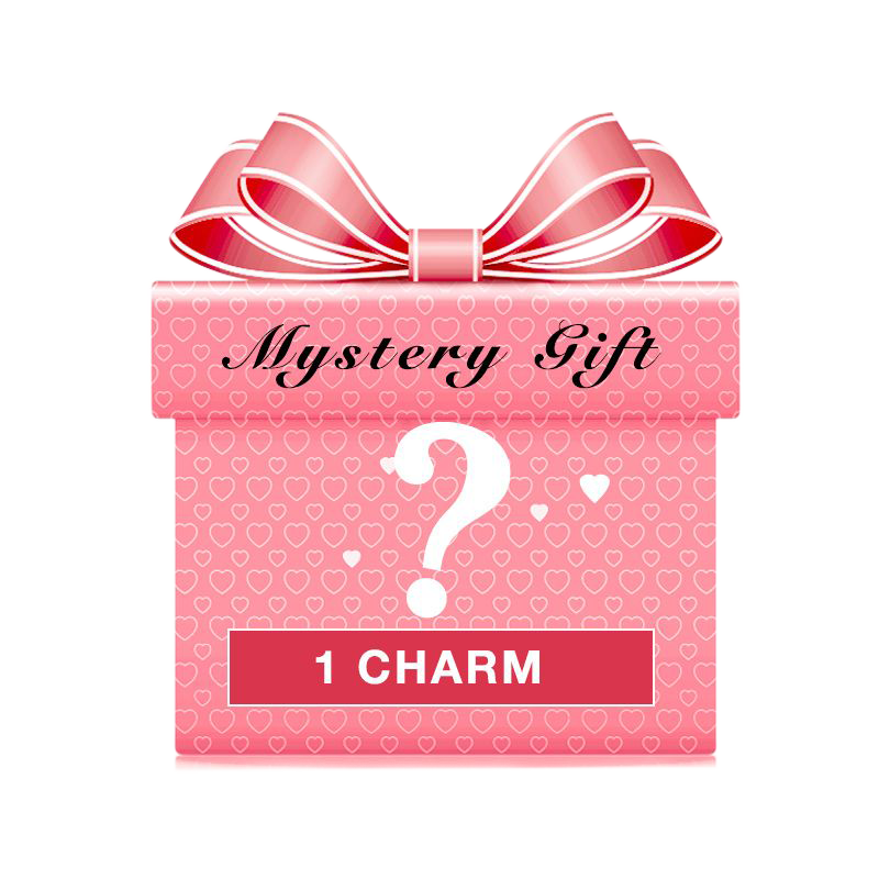 Mystery Charm Gift