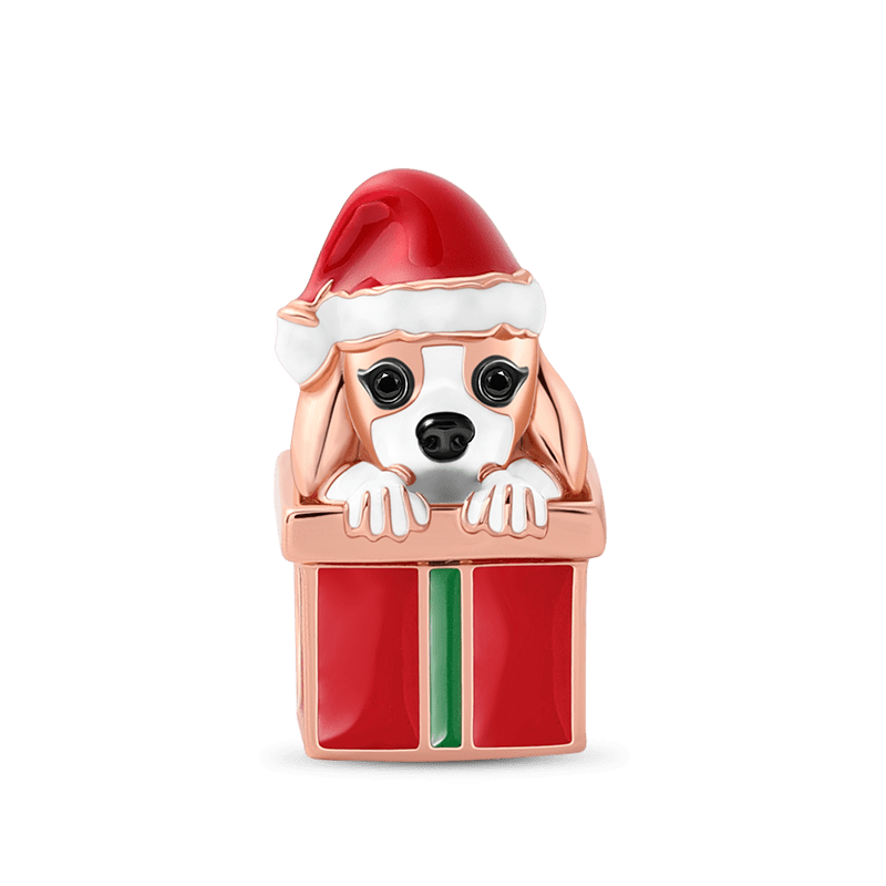 Perro con caja de regalo