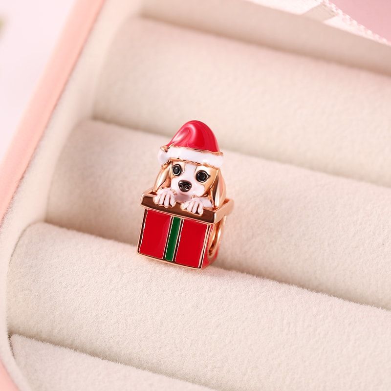 Perro con caja de regalo