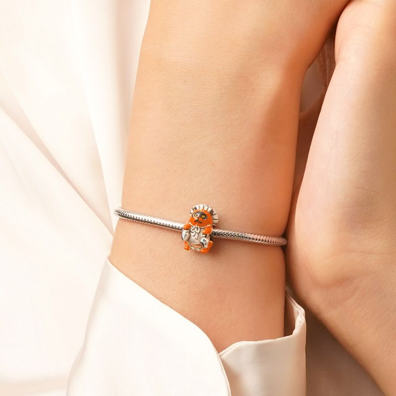 Charm Mapache