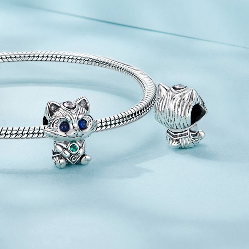 Charm Mapache