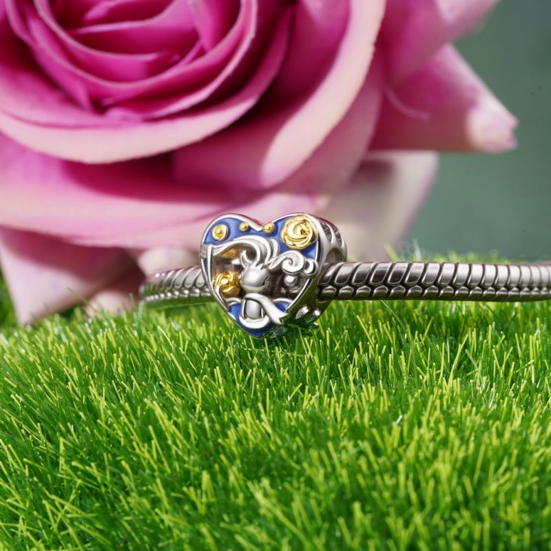 Charm de Niño Pequeño del Cielo Estrellado