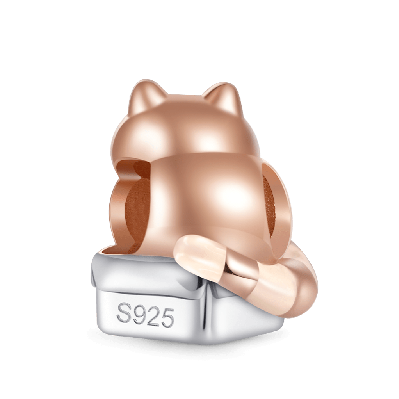 Mochi the Cat Charm de Caja