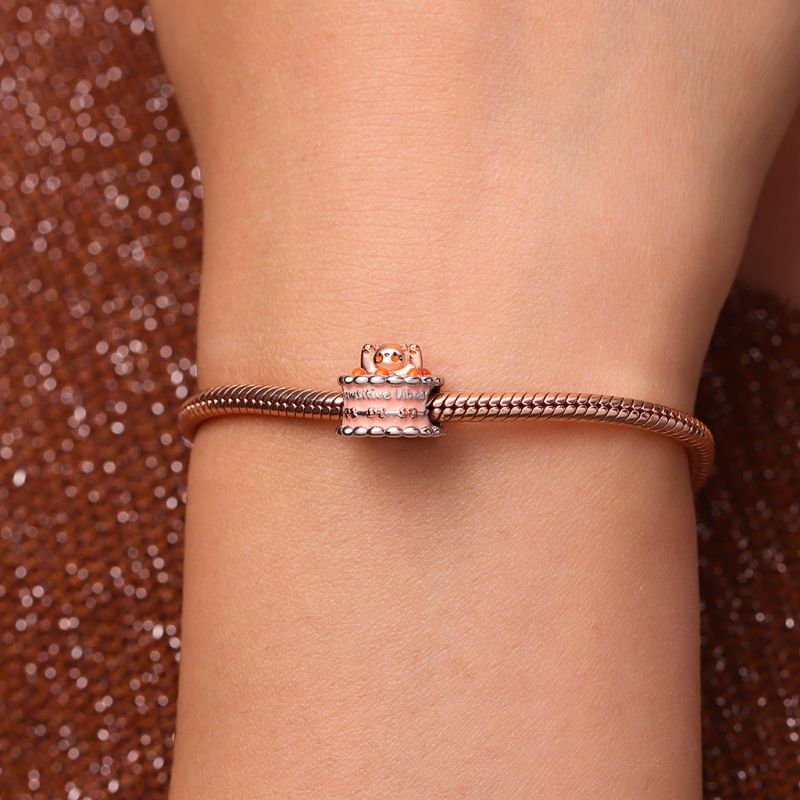 Mochi the Cat Charm de Pastel