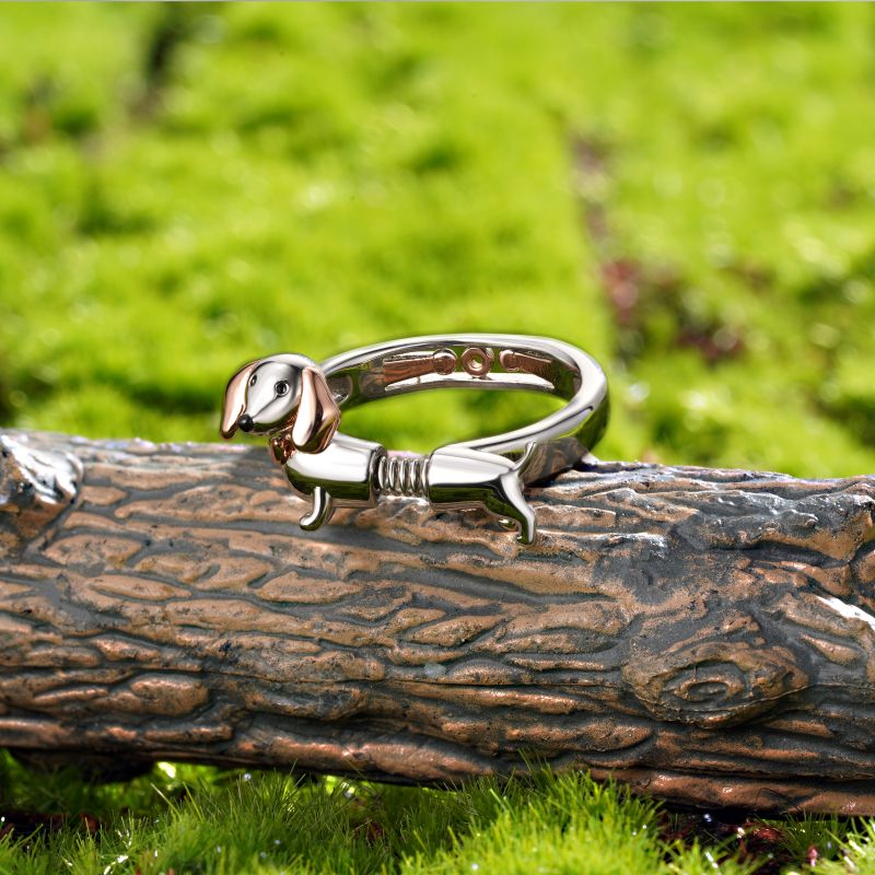 Anillo Spoof de Teckel de Primavera