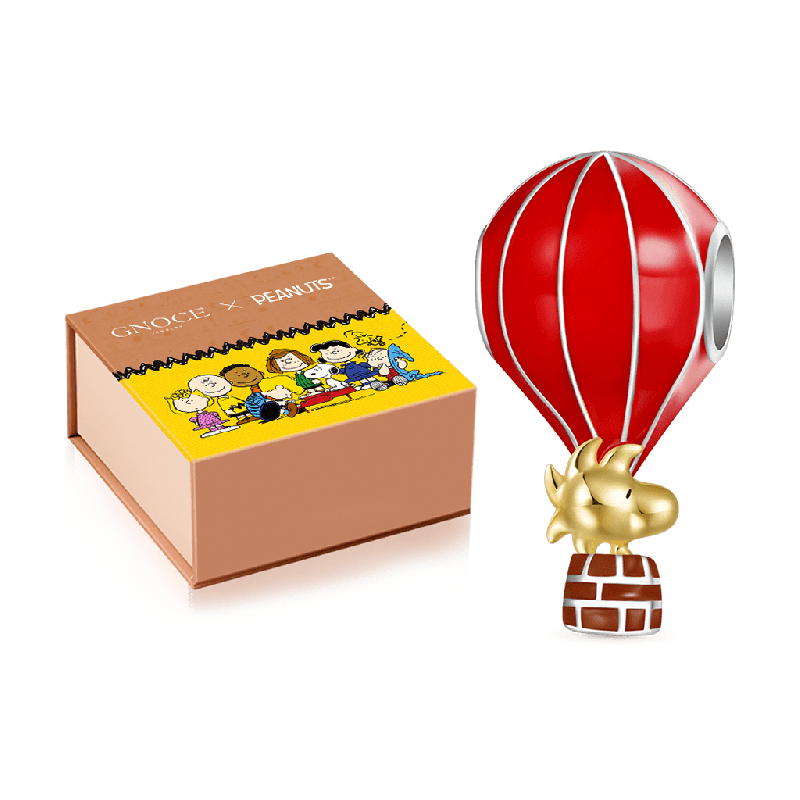 Charm Woodstock Paseo en Globo Aerostático