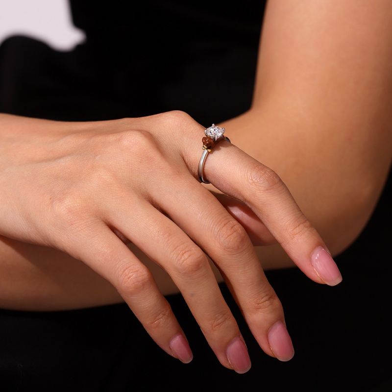Anillo Perro Dachshund