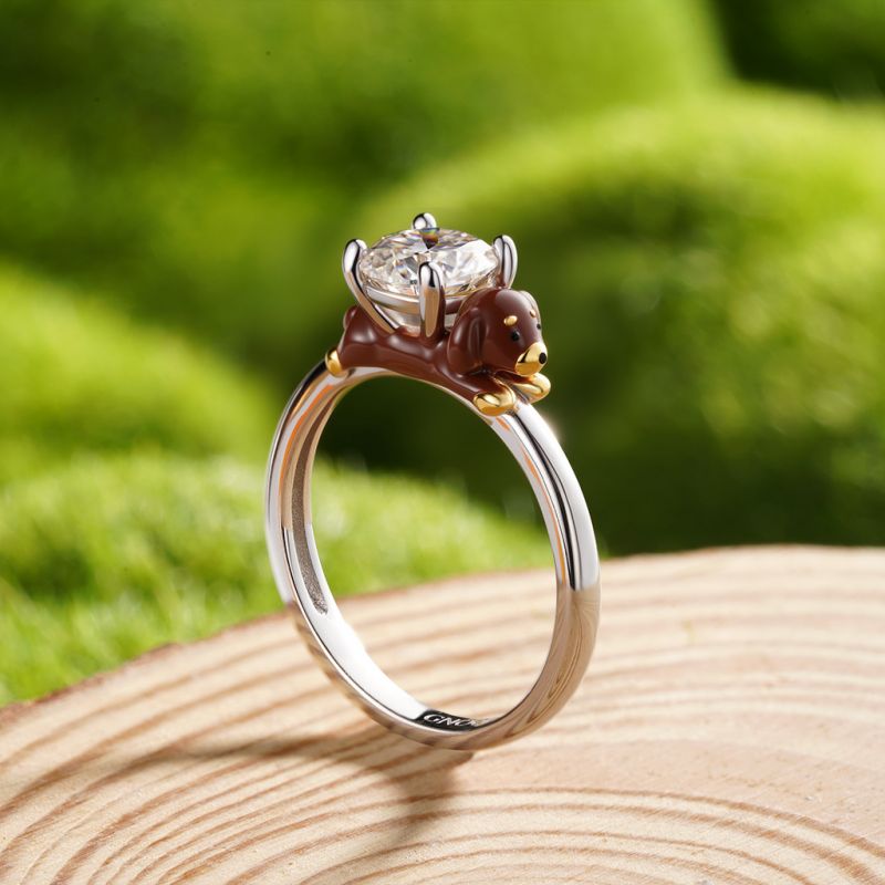 Anillo Perro Dachshund
