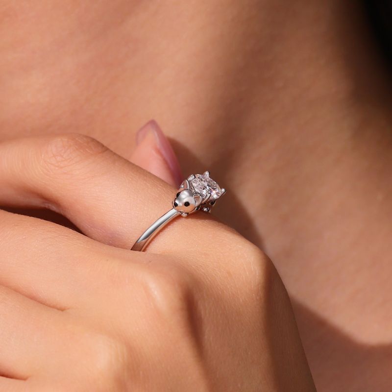 Anillo de Cachorro