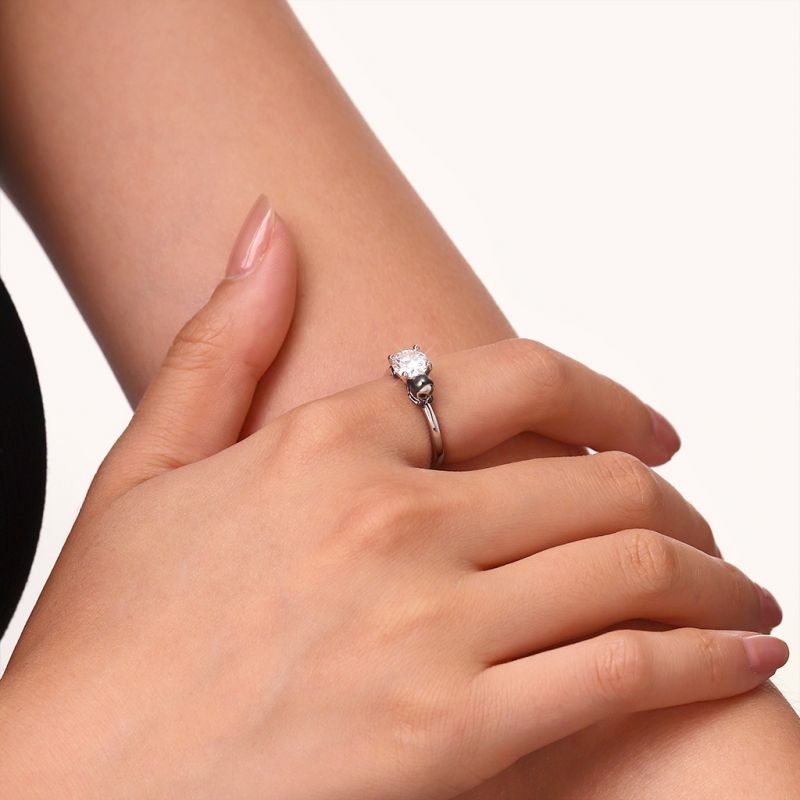 Anillo de Hombre de Jengibre Esquelético