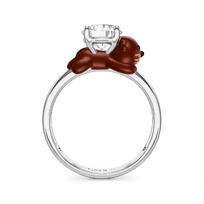 Anillo de Nutria
