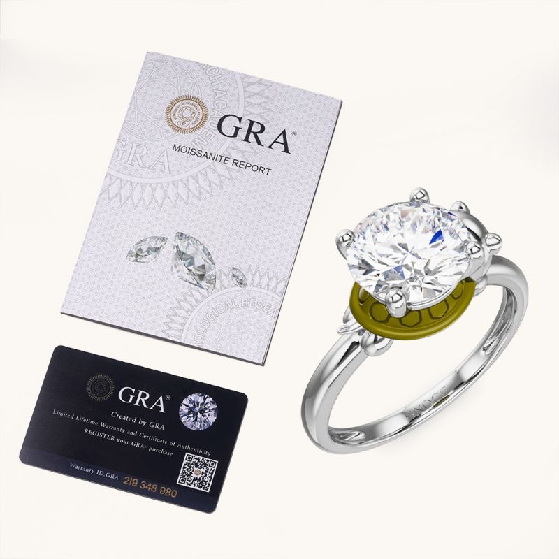 Anillo Tortuga