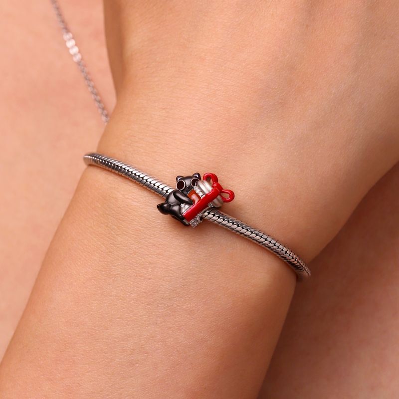 Charm Bubu Amor A Primera Vista