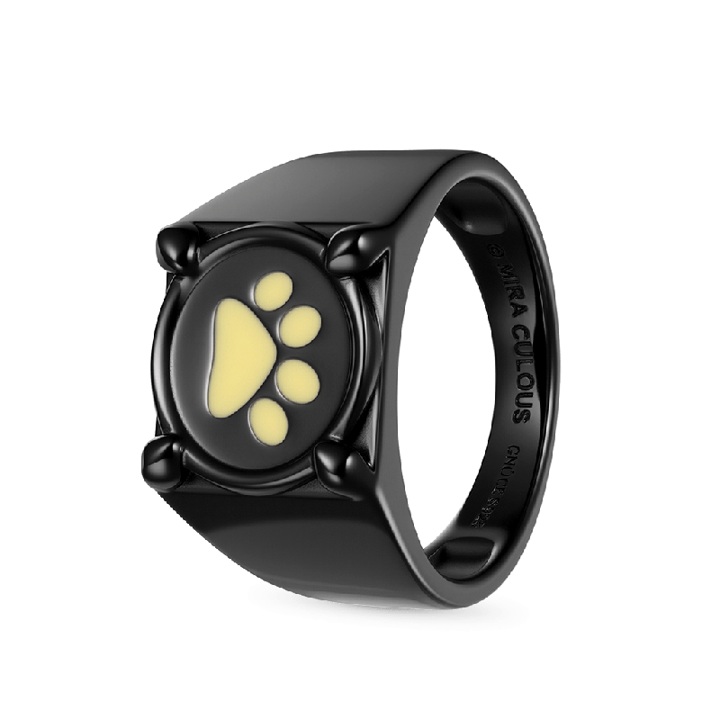 Miraculous Anillo de Cat Noir Que Brilla En La Oscuridad