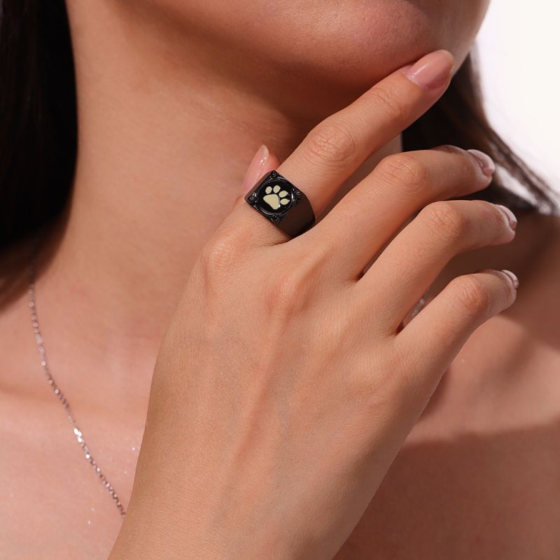 Miraculous Anillo de Cat Noir Que Brilla En La Oscuridad