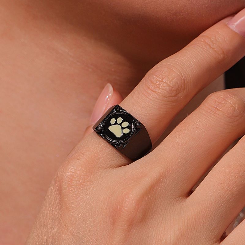 Miraculous Anillo de Cat Noir Que Brilla En La Oscuridad