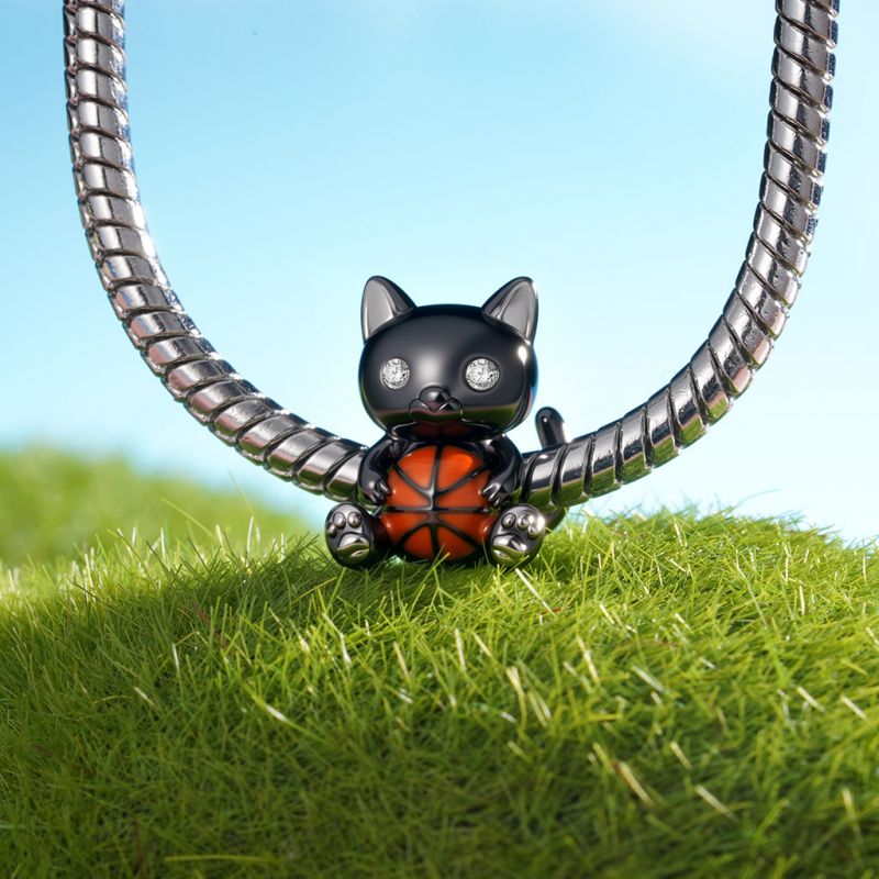 Charm Gato Negro Abrazando Baloncesto
