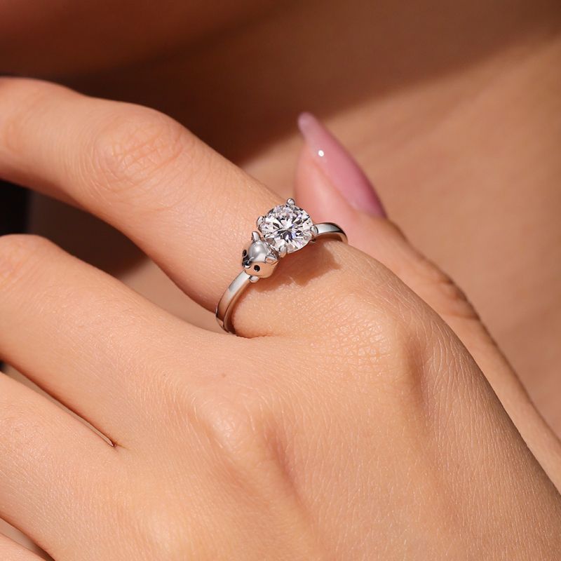 Anillo Hámster