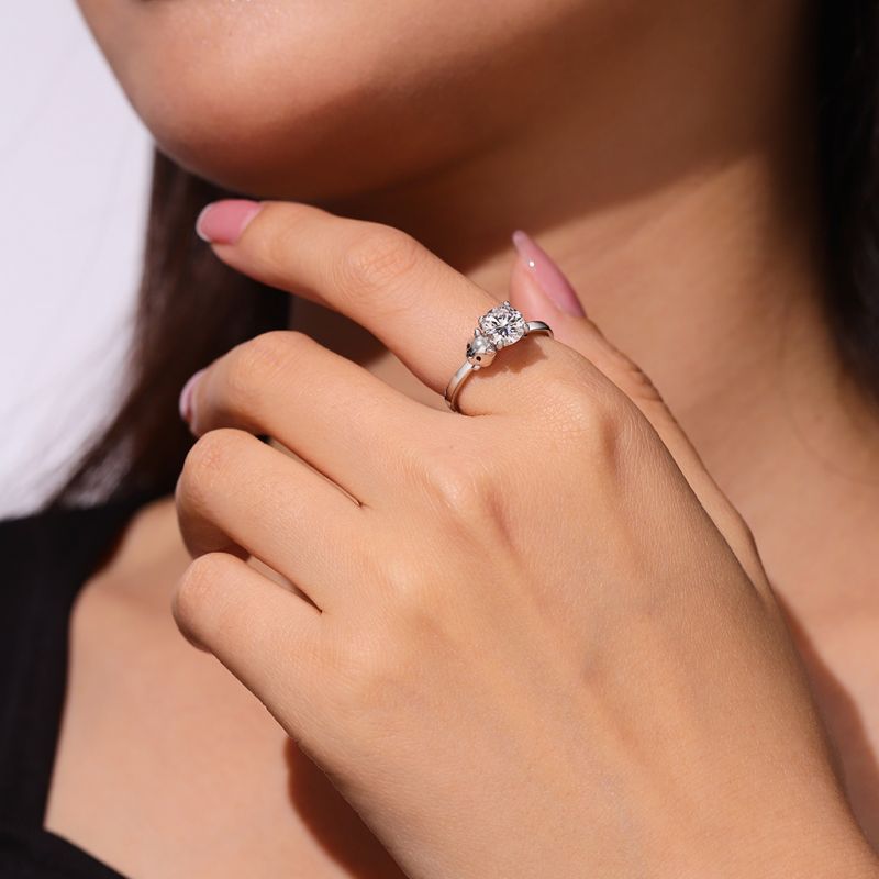 Anillo Hámster