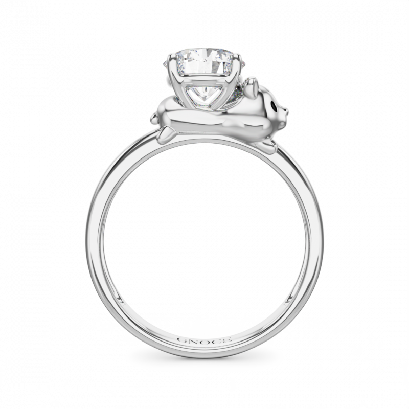 Anillo Hámster