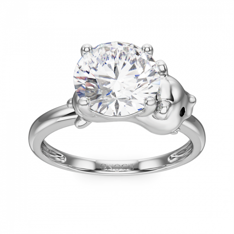 Anillo Hámster