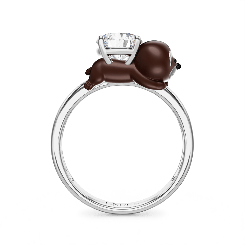 Anillo Perezoso
