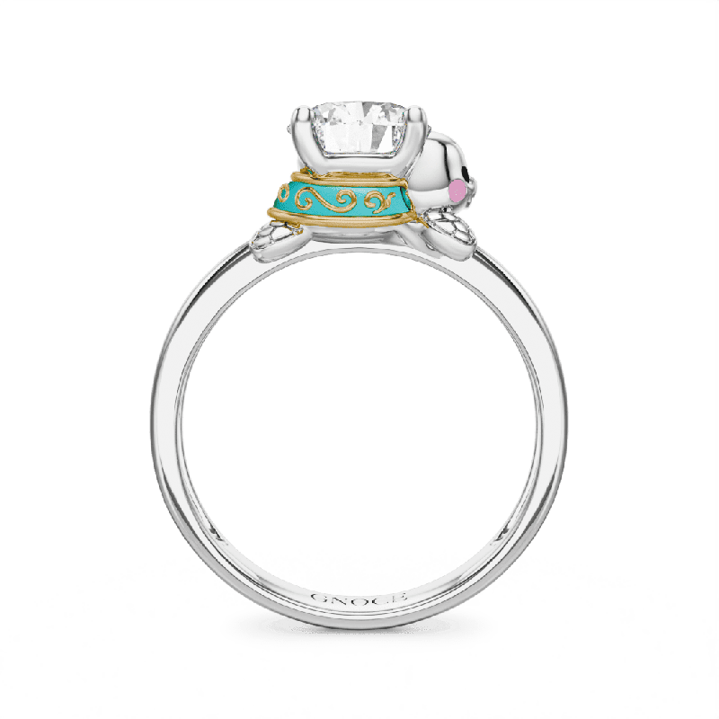 Anillo Tortugas Marinas