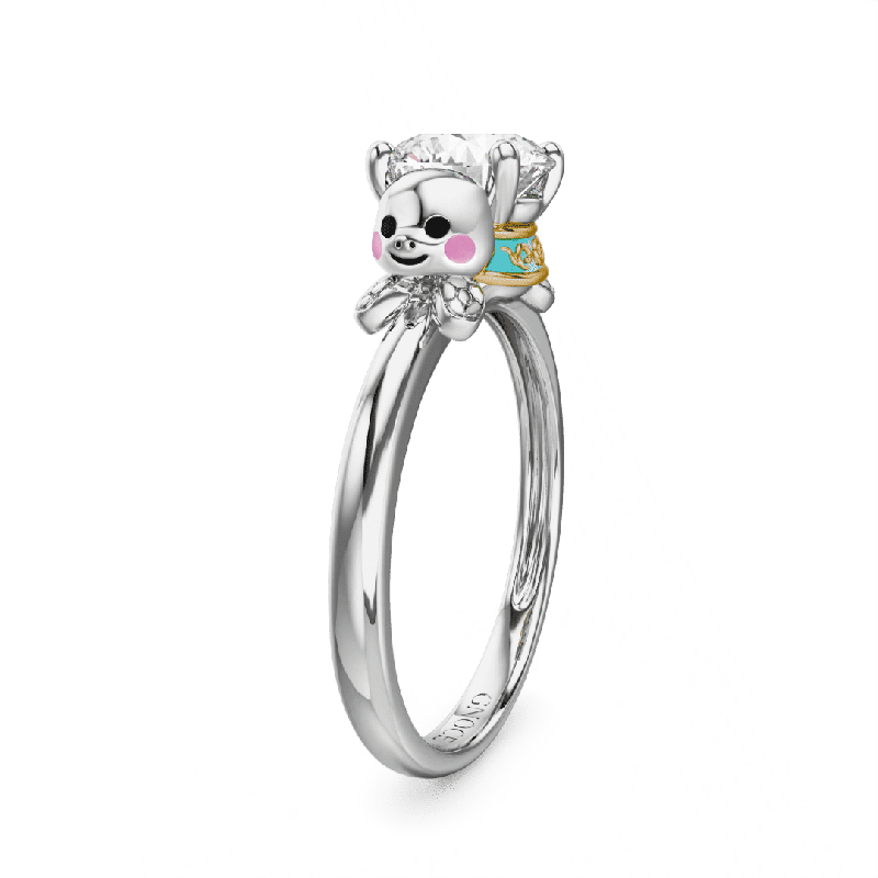 Anillo Tortugas Marinas