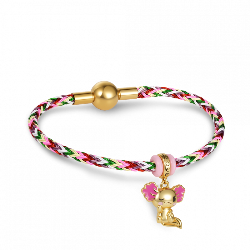 Pulsera Básica Multicolor